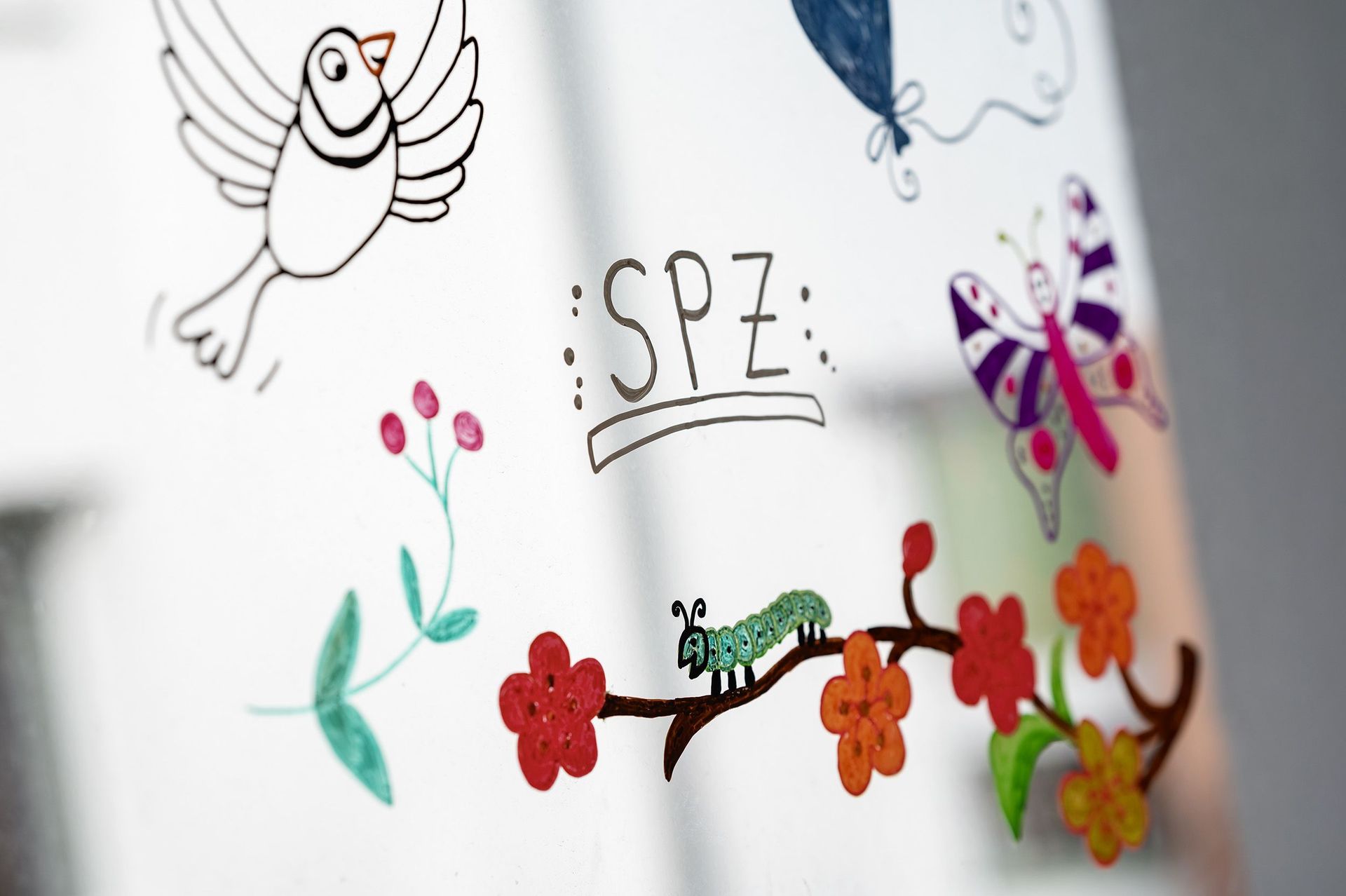 Fensterbild mit Vogel, Blumen und SPZ Schriftzug